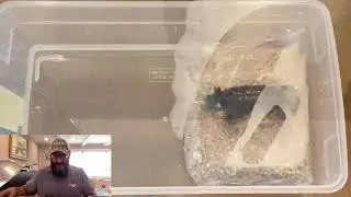 Water Cycle Box & Ice Demo