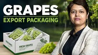Grapes Export Packaging | Export Import | KDSushma