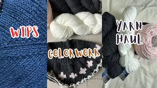 Champagne Cardigan, Tekumseh Pullover, new yarn haul .  Episode 62