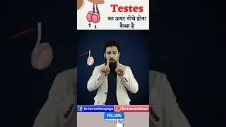 अंडकोष का छोटा बड़ा होना । 