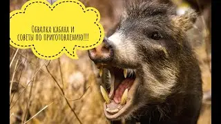 Обвалка кабана + рецепты 💪