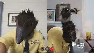 Liberty Mutual | LiMu Emu And Doug | Filters :30