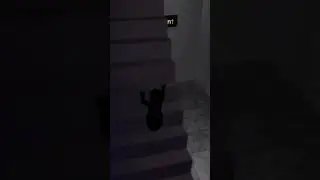 #роблокс