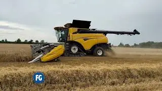Harvest in the UK this week | Harvest 2024