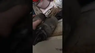 На умз 4216, подходит всё-таки стартер от змз 402