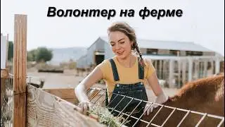 mini-farm, we will invite a volunteer