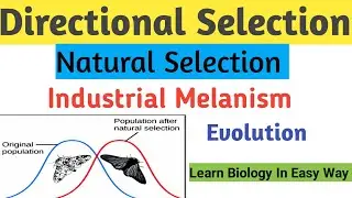 Directional Selection | Type of Natural Selection | Evolution #evolution #biology #zoology