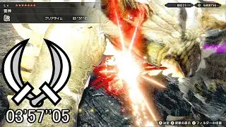 【MHRise】ナルハタタヒメ 双剣 ソロ 3'57''05/Thunder Serpent Narwa Dual Blades Solo