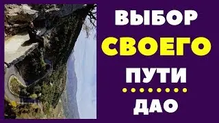 Дао. Выбор своего пути.  ВИКТОР СЕННИКОВ