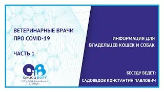 Коронавирус у животных или COVID-19 у кошек и собак. Часть № 1