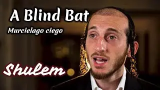 Atalef Iver (COVER) | Canta: Shulem Lemmer | English - Español