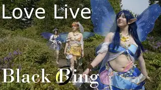 Love Live Fairy (Matt Dean - Bring me)