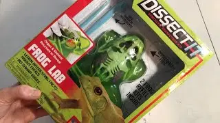 Watch our Synthetic Frog Dissection | DISSECT IT Kit
