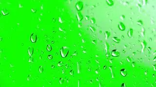 FREE HD Green Screen - WATER DROPS ON GLASS