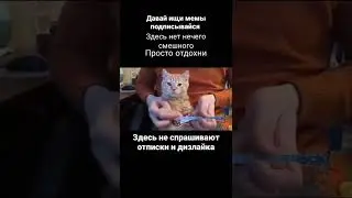 ᵐ ᵉ ᵐ ᵉ  ¹²⁸? #мем #мемы #ржака #смехдослез #прикол #приколы #лучшее #рекомендации #short