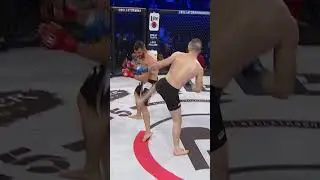 Top Finishes From The Bellator 291 Main Card