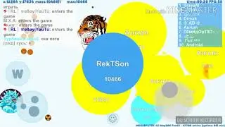 AGAR.IO/Petri dish WTH Momments/WinsAndFails