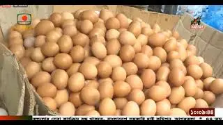 BTV English News at 10 on  06.12.2024