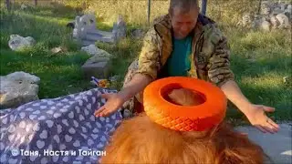 Олег Алексеевич меняет профессию-2