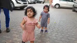 Bella & Vienna trying to make friends