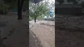 ⛈️Oğuzda güclü yağış problemlər yaradıb