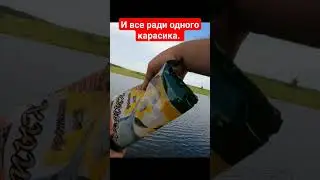 Все ради одного карасика 