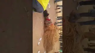 Unubi day