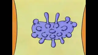 Introduction (реж. Ринат Газизов, 1992 год)
