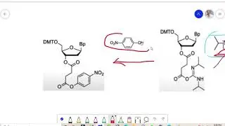 Oligonucleotides synthesis Biochemistry lecture