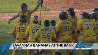 Savannah Bananas to play at Bank of America Stadium