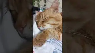 Все хотят заботы и внимания