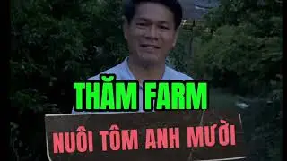 THĂM FARM TÔM 86 NGÀY 30 CON I Trần Quang Huy Official