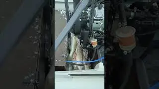 Когда рыбалка удалась👍 #аэролодка #рыбалка #рыбалканаоби