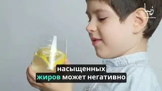 Исследователи энергии: Как ваш организм превращает пищу в топливо