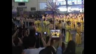 field demo 2013