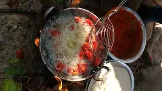 chicken pakoda ..