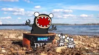 Волга. Среда обитания.