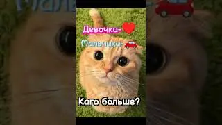 Каго больше?😺