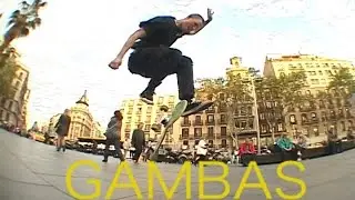 Gambas