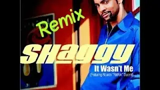 Shaggy- It Wasn't Me Remix (garage)