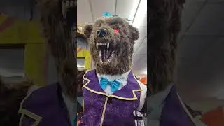 circus bear