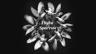 Yungspatz & Elènne - Flight of the Sparrow