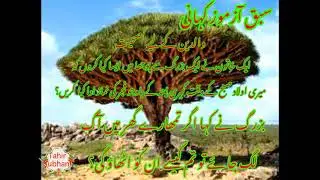 ik khaatoon na baguzrak sa pocha | Tahir Subhani