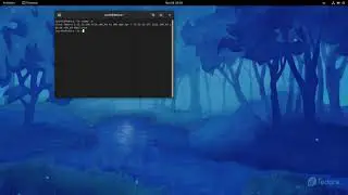Determine OS type/bit count in Fedora - No Commentary.