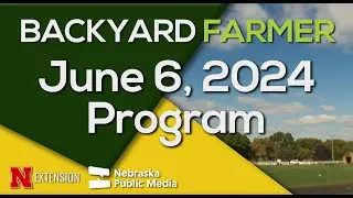 Pest Control, Lawn Care & Summer Garden Tips | Backyard Farmer June 6, 2024
