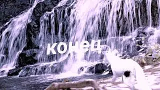 wcmv В ЛОВУШКЕ