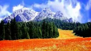 Asgje Sikur Dielli - Ku ka me mire se me qene shqiptar? (Kush m'ka faj qe jam shqiptar!)