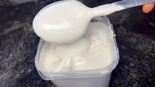 Homemade yogurt with 2 ingredients.