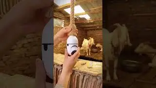 E27 Ampul 720P Gece Görüşlü - Alarmlı - Panoramik - Çift Yönlü Led Kamera