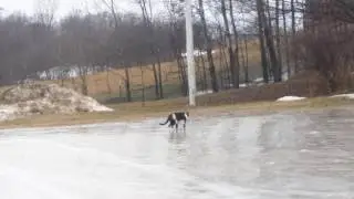 Icy driveway Jan 17 2017